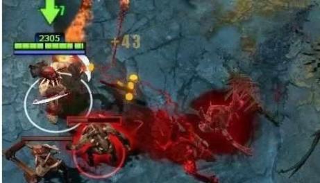 全队的经验 全队的经验